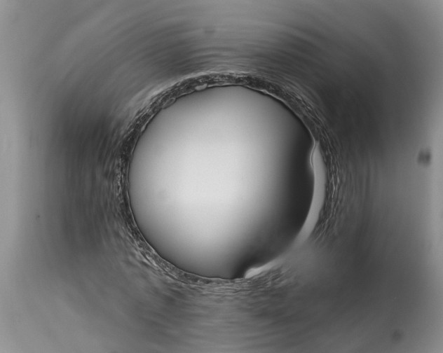 X0000114990773200911161513