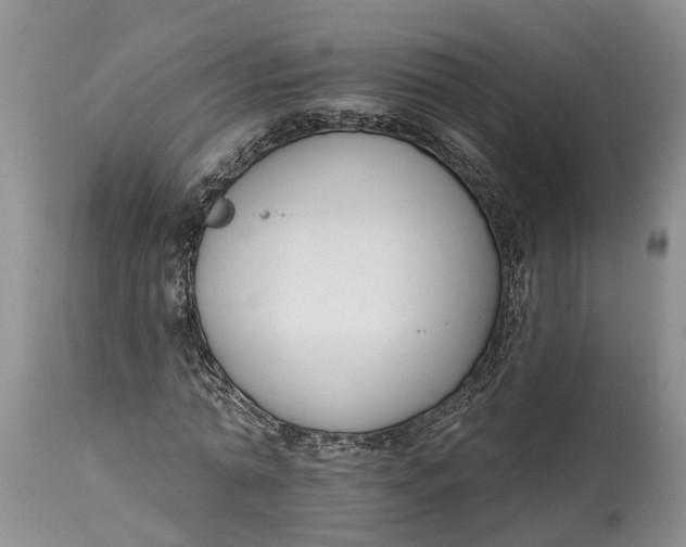 X0000114990774200911161513