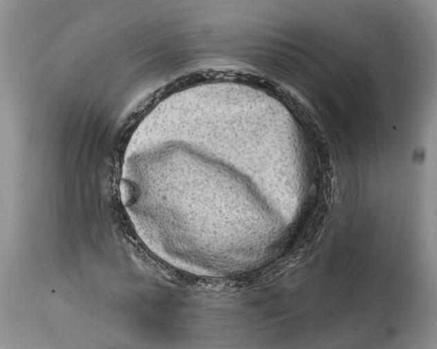 X0000114990775200911161513