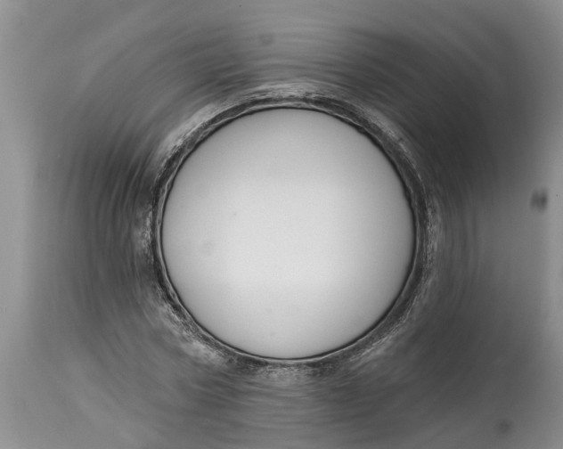 X0000114990778200911161513