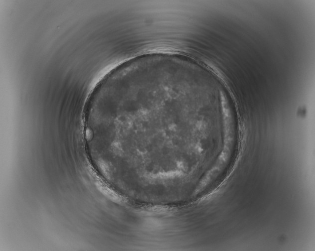 X0000114990779200911161513