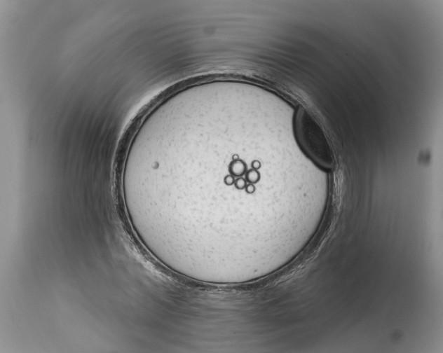 X0000114990780200911161513