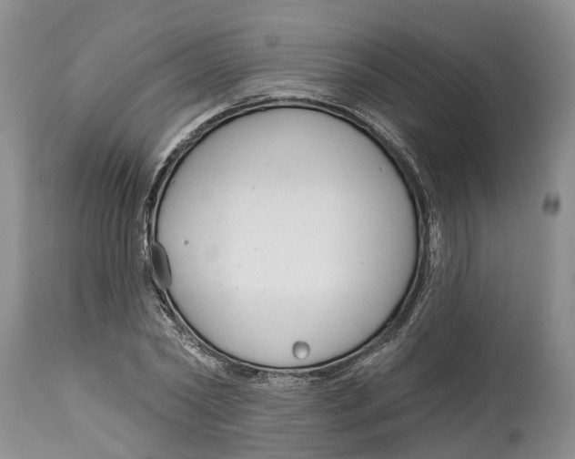 X0000114990782200911161513