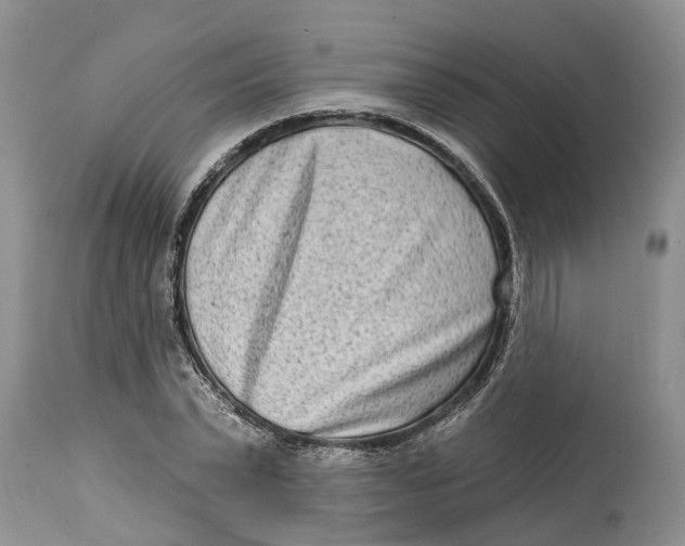 X0000114990783200911161512