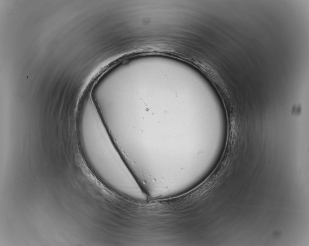 X0000114990784200911161512