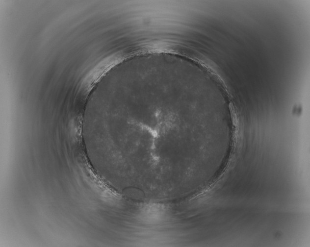 X0000114990785200911161512