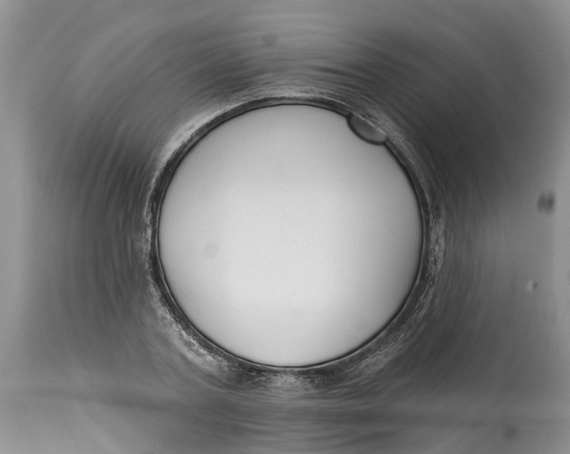 X0000114990787200911161512