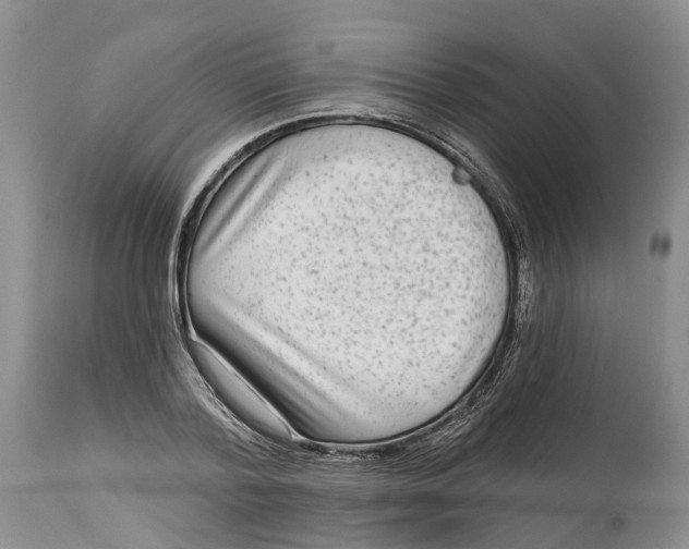 X0000114990788200911161512