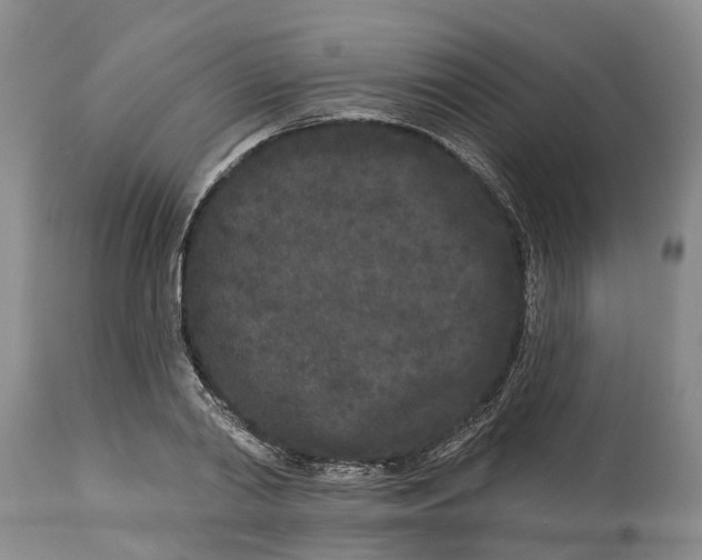 X0000114990790200911161512