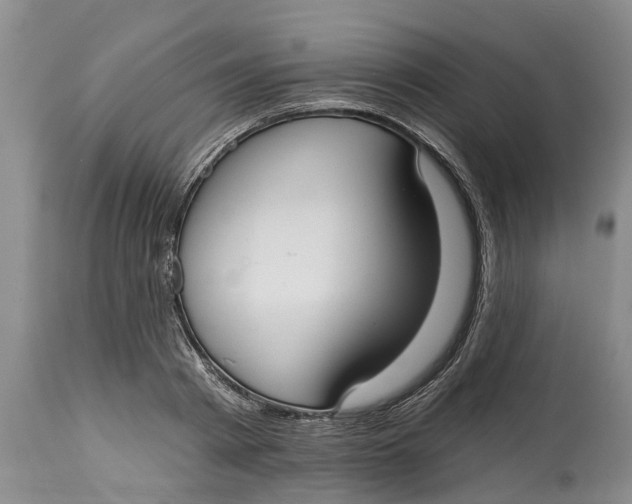 X0000114990793200911161512