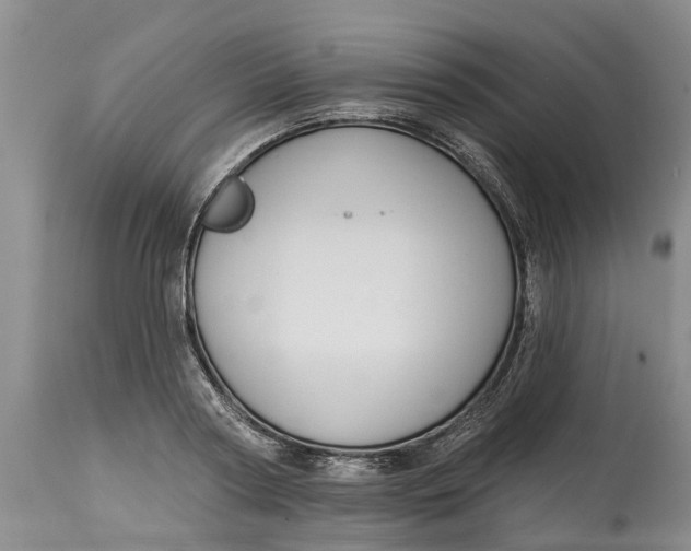 X0000114990794200911161512