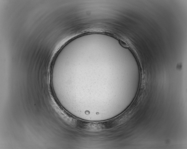 X0000114990795200911161512