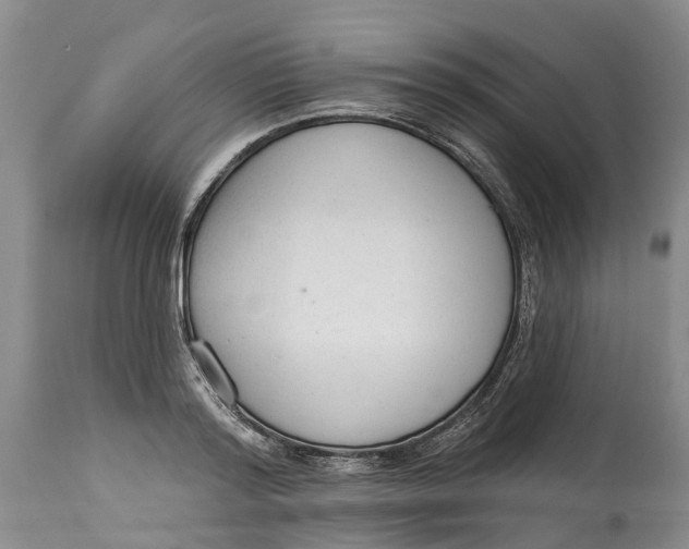 X0000114990796200911161512