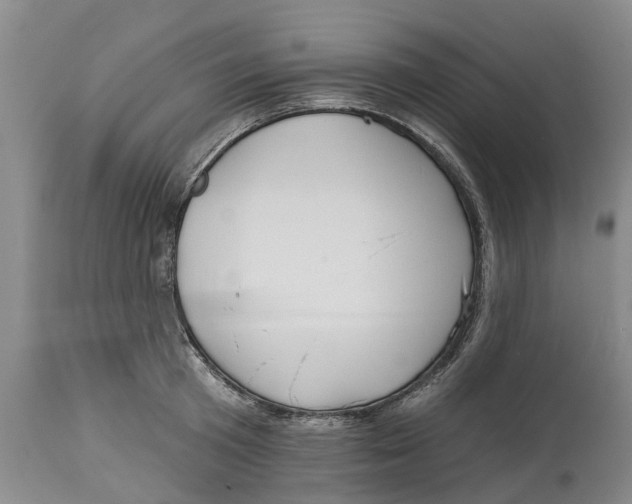 X0000114990801200911161512