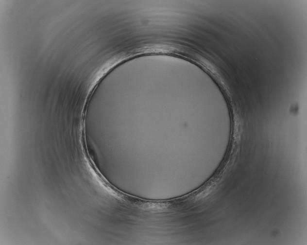 X0000114990802200911161512