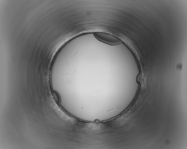 X0000114990805200911161512