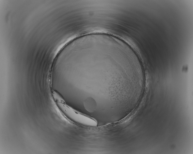 X0000114990806200911161512