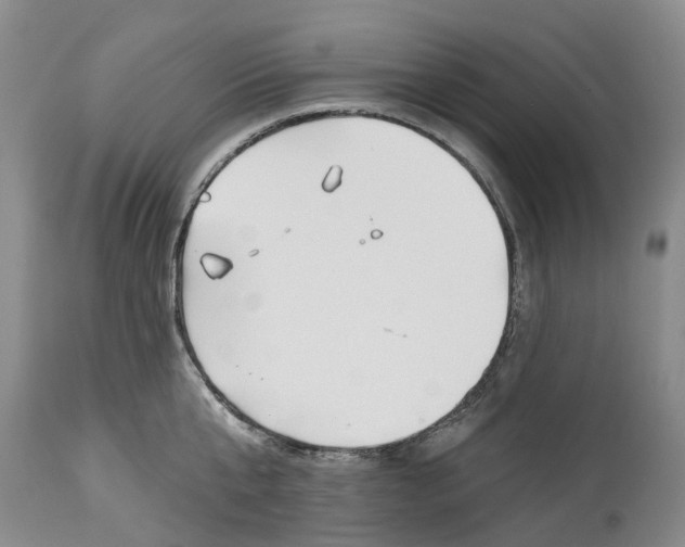 X0000114990807200911161512