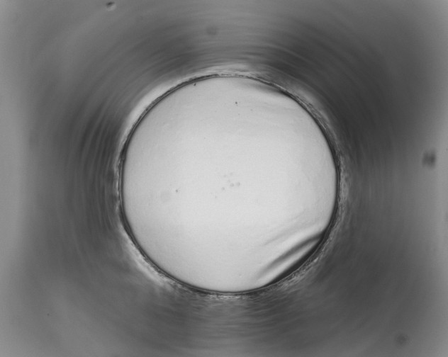 X0000114990808200911161512