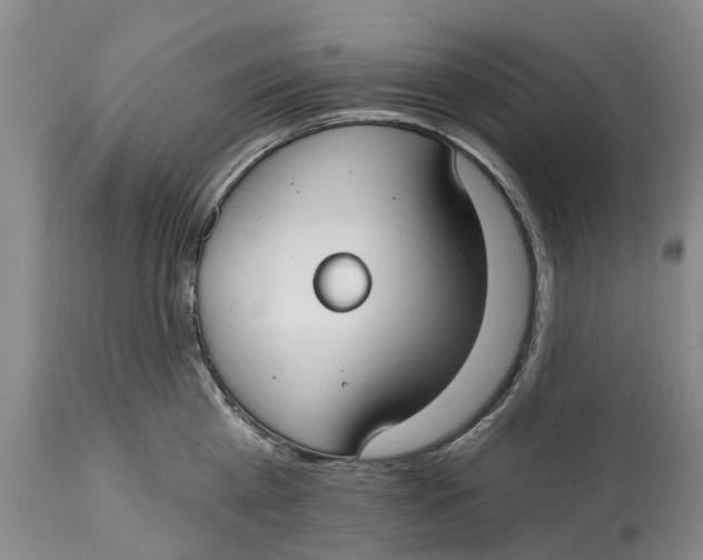 X0000114990809200911161512