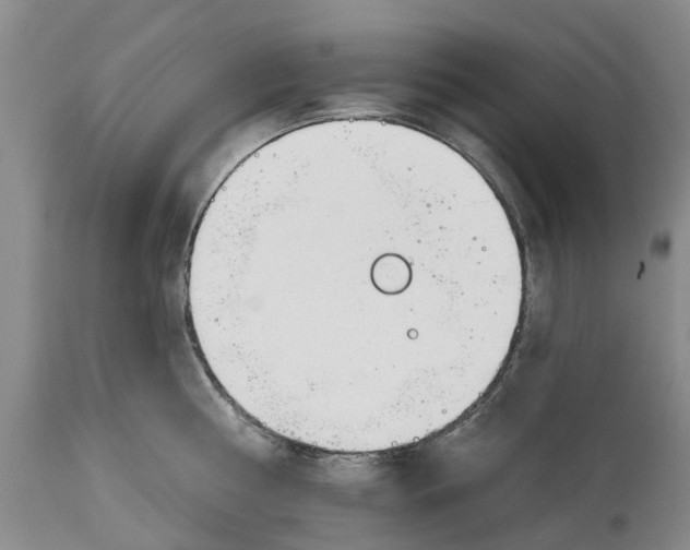 X0000114990810200911161512