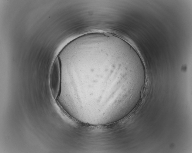 X0000114990811200911161512