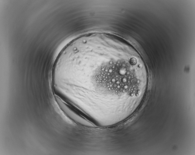 X0000114990812200911161512