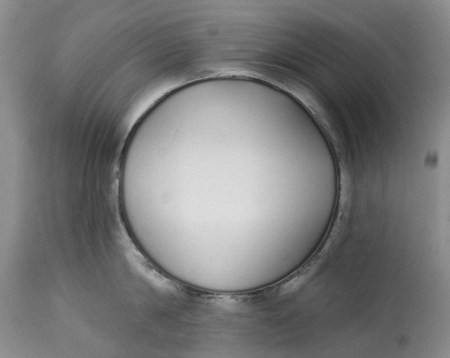 X0000114990814200911161512