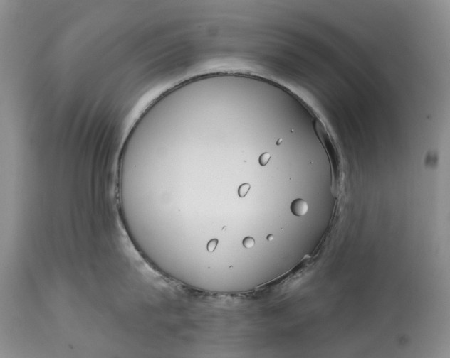 X0000114990815200911161512