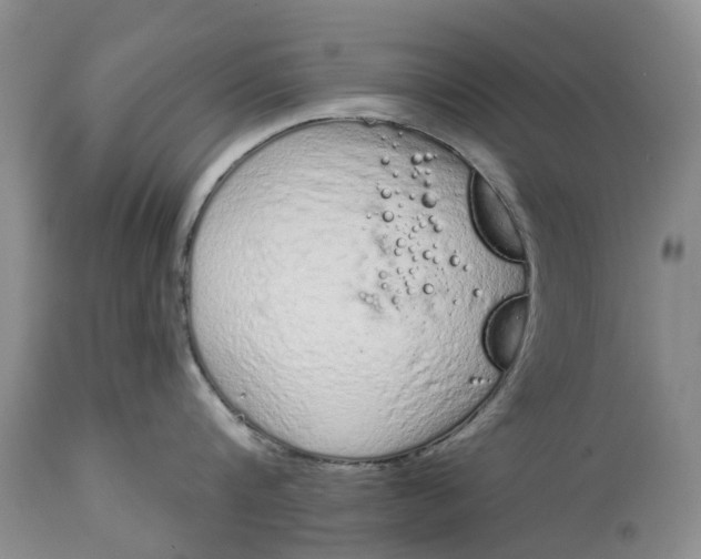 X0000114990816200911161512