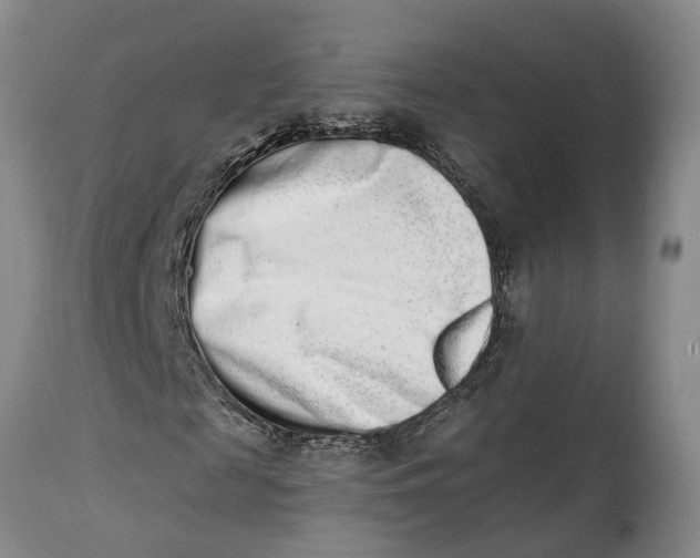 X0000114990817200911161511