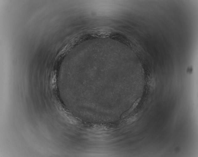 X0000114990818200911161511