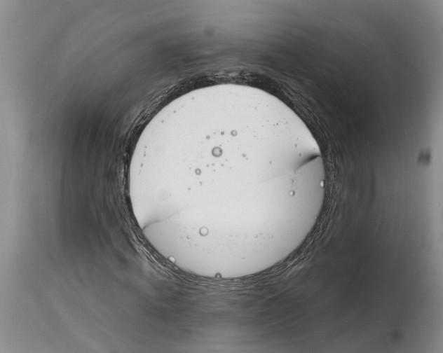 X0000114990820200911161511