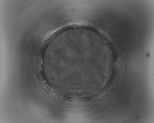 X0000114990822200911161511