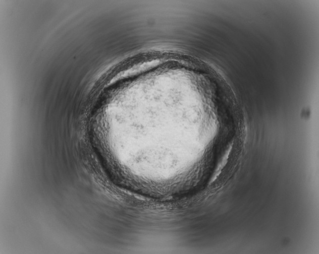 X0000114990823200911161511