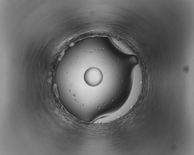 X0000114990824200911161511