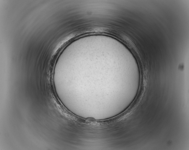 X0000114990827200911161512