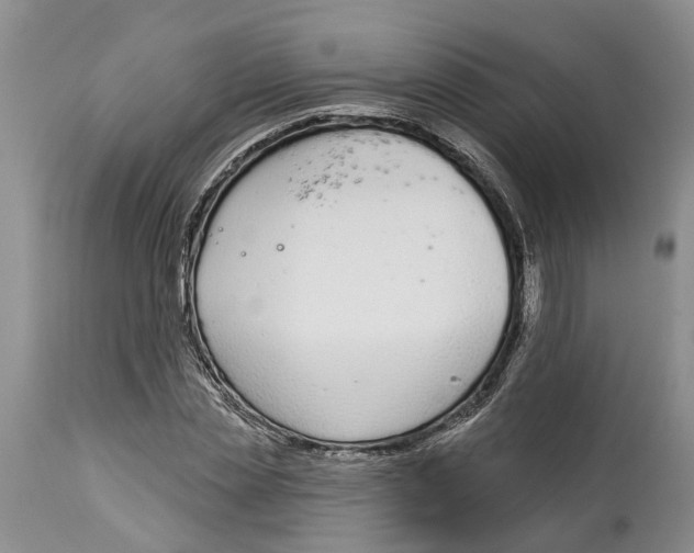 X0000114990829200911161512