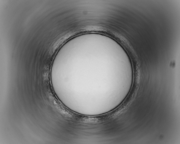 X0000114990833200911161512