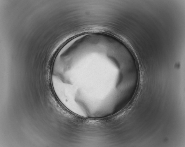 X0000114990835200911161512