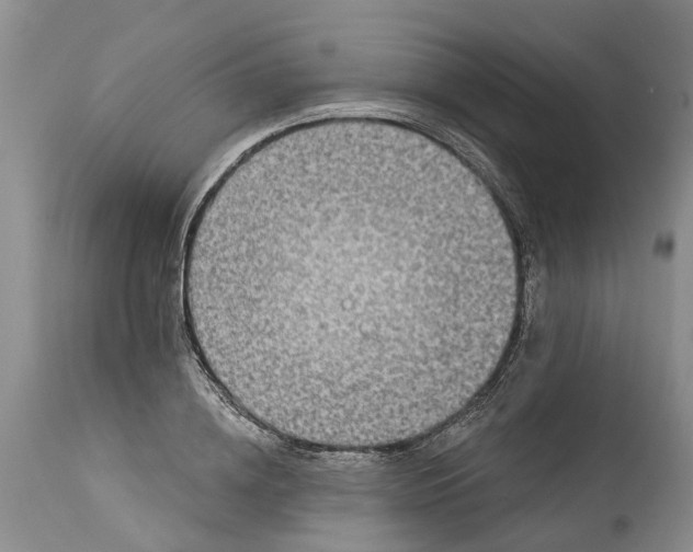 X0000114990836200911161512