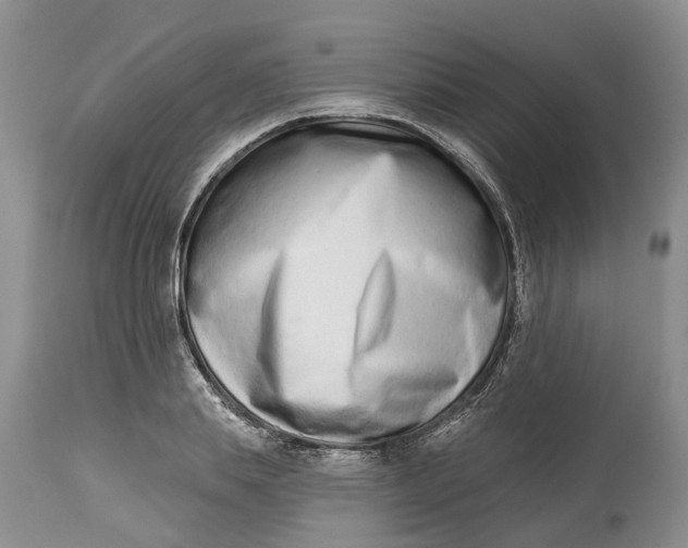 X0000114990839200911161512