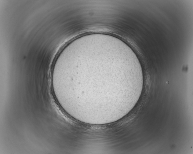 X0000114990840200911161512