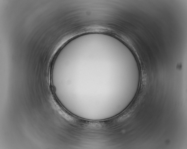 X0000114990843200911161512