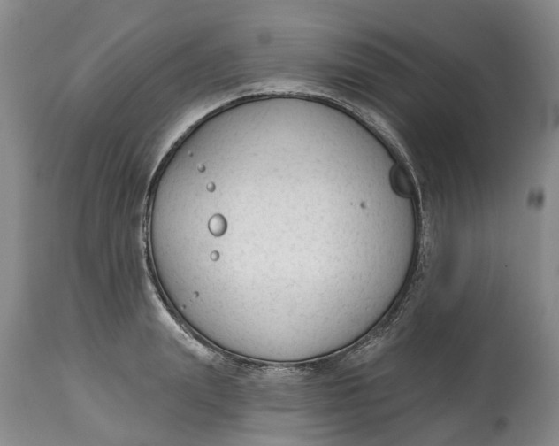 X0000114990847200911161512