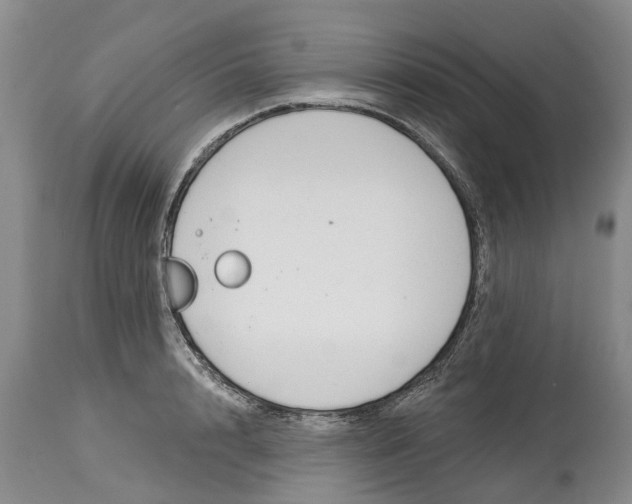 X0000114990848200911161512