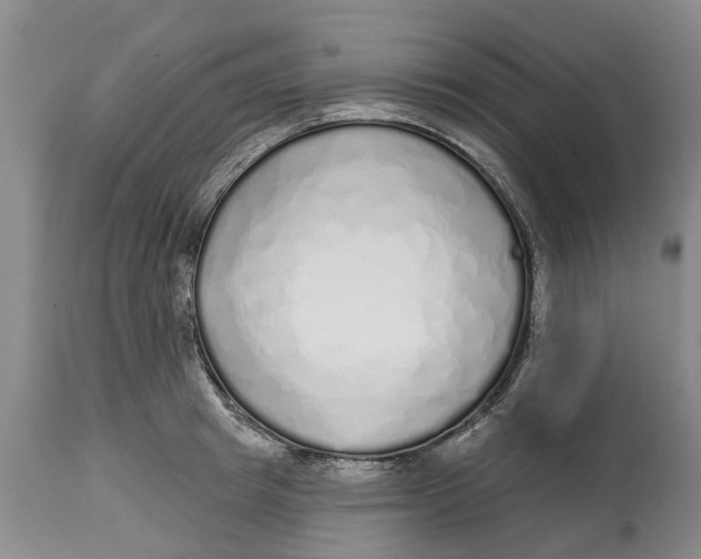 X0000114990849200911161512