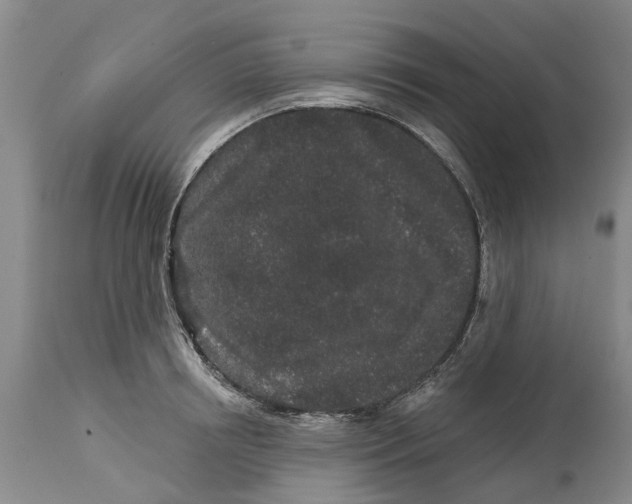 X0000114990850200911161512