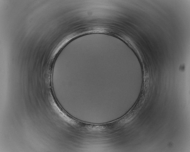 X0000114990851200911161512