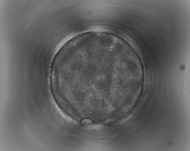 X0000114990853200911161512